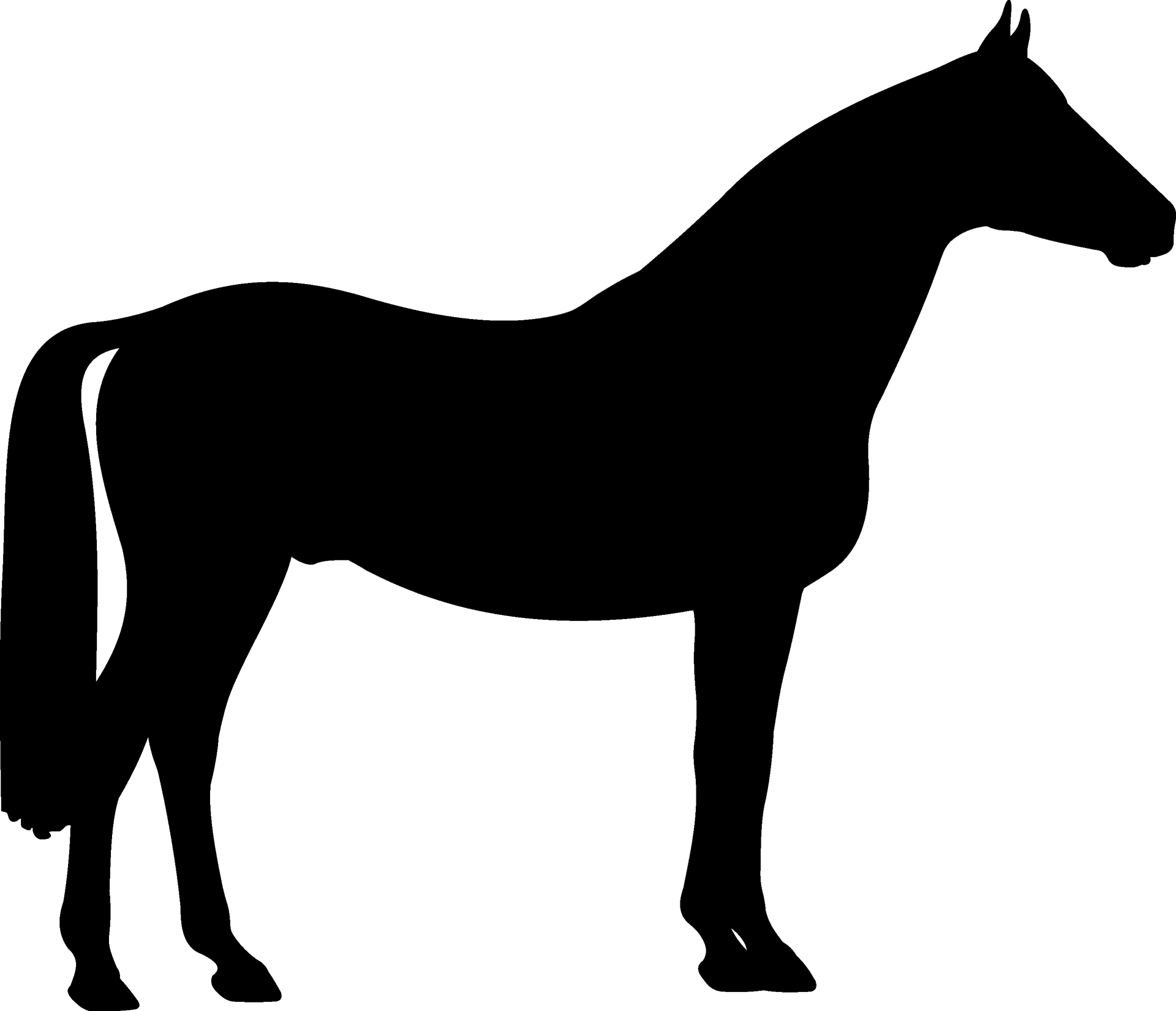 horseplaceholder